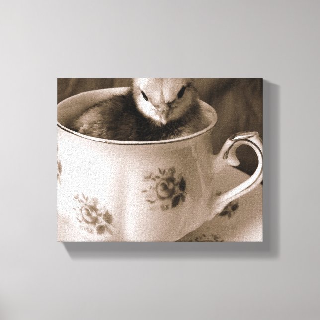 Baby Chick in a Teacup  Canvas Print (Front)
