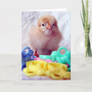 Baby Chick, Perfect For Baby Showers Greeting Card