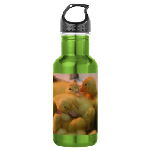 Baby Chick Pile Water Bottle