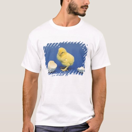 Baby chick T_Shirt