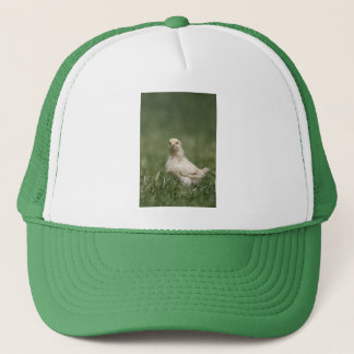 Baby Chick Trucker Hat