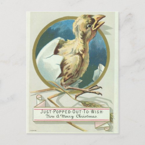 Baby Chick Victorian Christmas Card