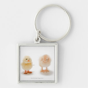 Baby chicken and fake mechanical chicken keychain