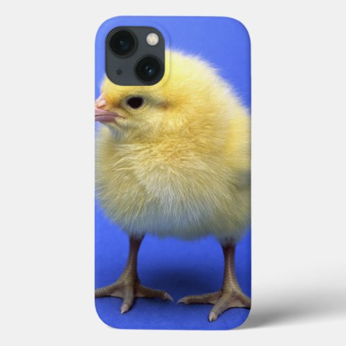 Baby chicken iPhone 13 case