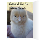Baby_Chicken_Easter_Card. (Inside (Left))