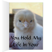 Baby_Chicken_Easter_Card. (Inside (Right))