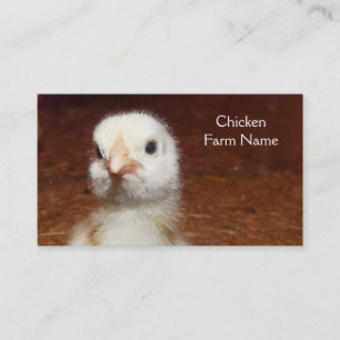 Baby Chicken Egg or Chicken Farm Business Card