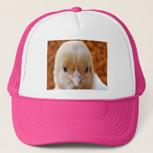 Baby Chicken Face, Hat