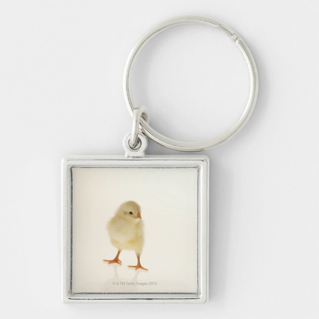 Baby chicken keychain (Front)