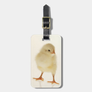 Baby chicken luggage tag