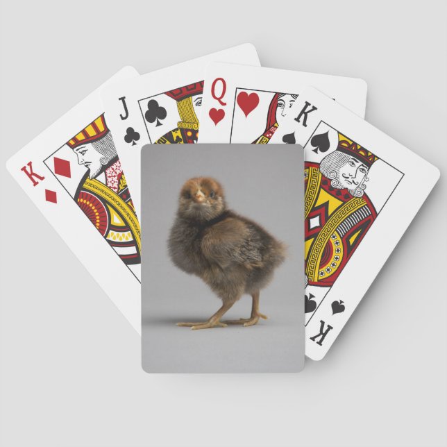 Baby Chicken Poker Cards (Back)