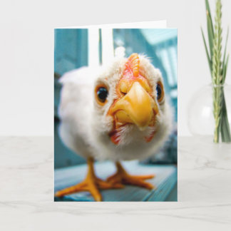 Baby Chicken, Rooster, Farm Animal, Greeting Card