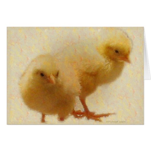 Baby Chicks Cards (Front Horizontal)