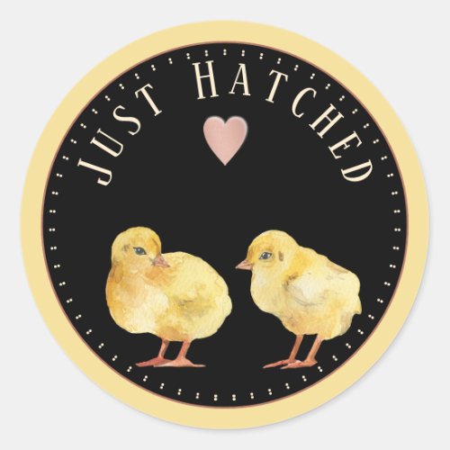 Baby Chicks Heart Just Hatched or Easter Greetings Classic Round Sticker