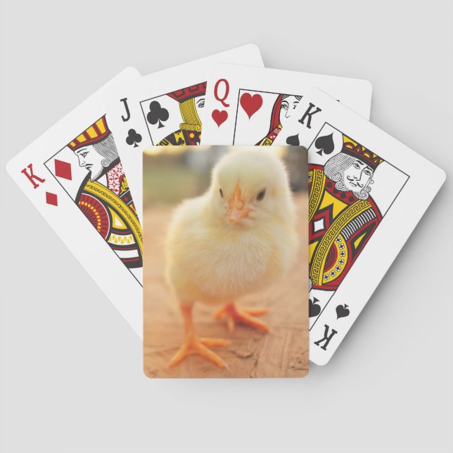 Baby Chicks Poker Cards (Back)