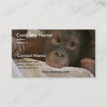 Baby Chimp Business Card