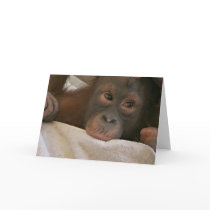 Baby Chimp Greeting Card