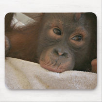 Baby Chimp Mousepad