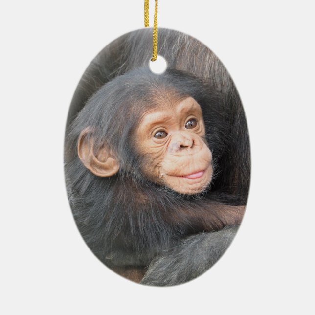 Baby Chimpanzee Ceramic Ornament (Back)