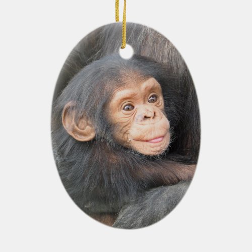 Baby Chimpanzee Ceramic Ornament