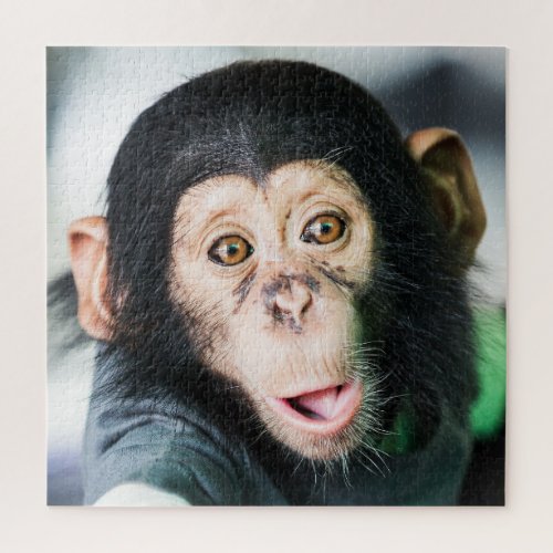 Baby Chimpanzee Jigsaw Puzzle