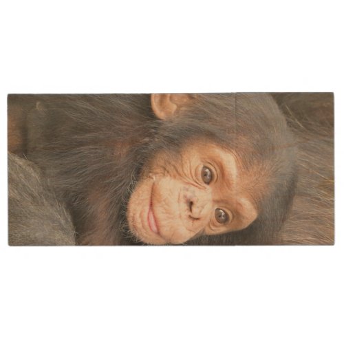 Baby Chimpanzee Wood USB Flash Drive