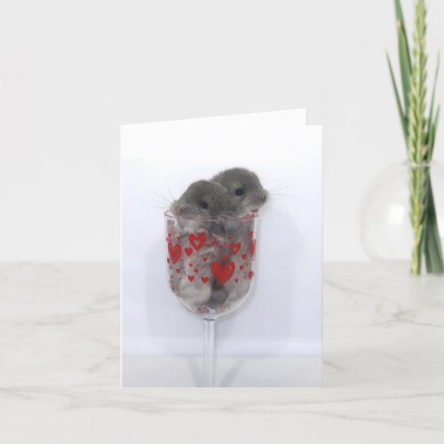 Baby chinchillas in wine glass holiday card