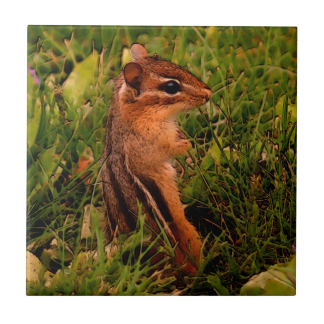 Baby Chipmunk Animal Art Ceramic Tile (Front)