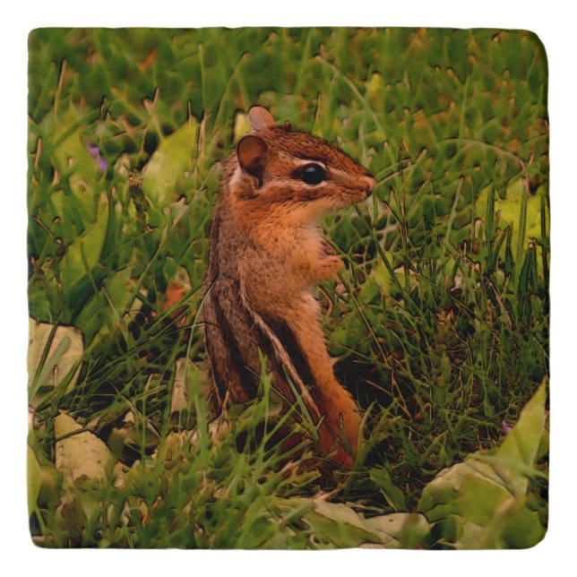Baby Chipmunk Animal Art  Trivet (Front)