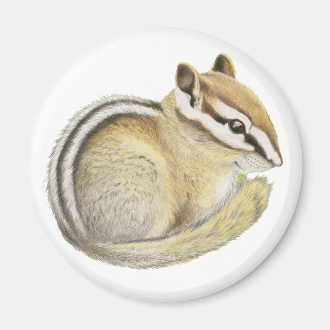 Baby Chipmunk Magnet (Front)