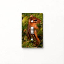 Baby Chipmunk Standing Animal Art Light Switch Cover