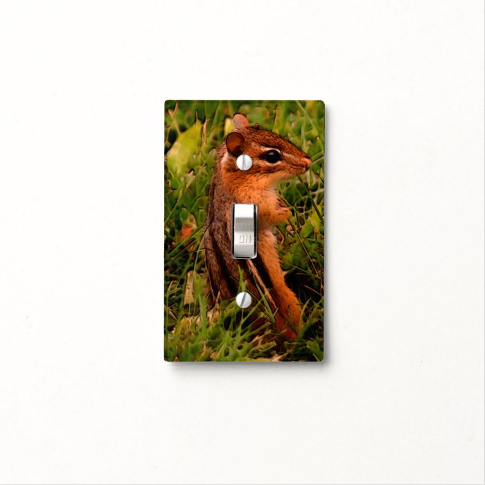 Baby Chipmunk Standing Animal Art Switch Plate Cover
