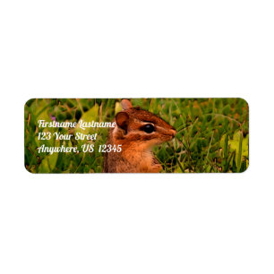 Baby Chipmunk Wildlife Animal Art Address Label