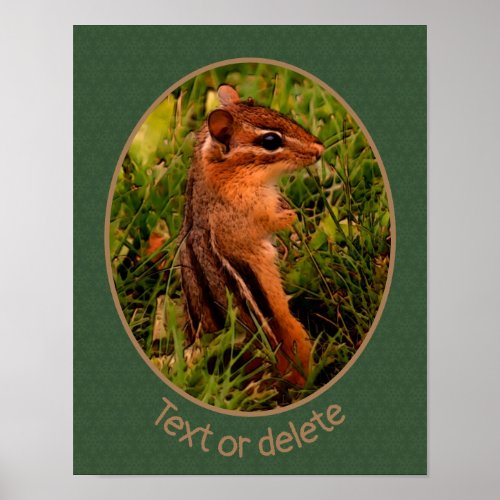 Baby Chipmunk Wildlife Animal Art Personalized  Poster
