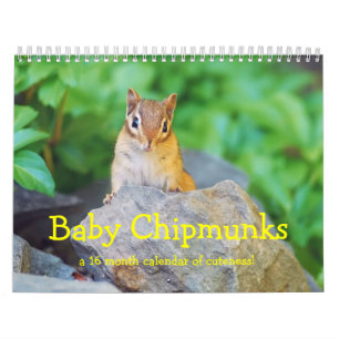 Baby Chipmunks 2013/2014 (16 month calendar) Calendar