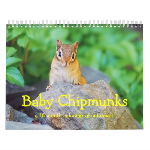 Baby Chipmunks 20132014 16 month calendar Calendar