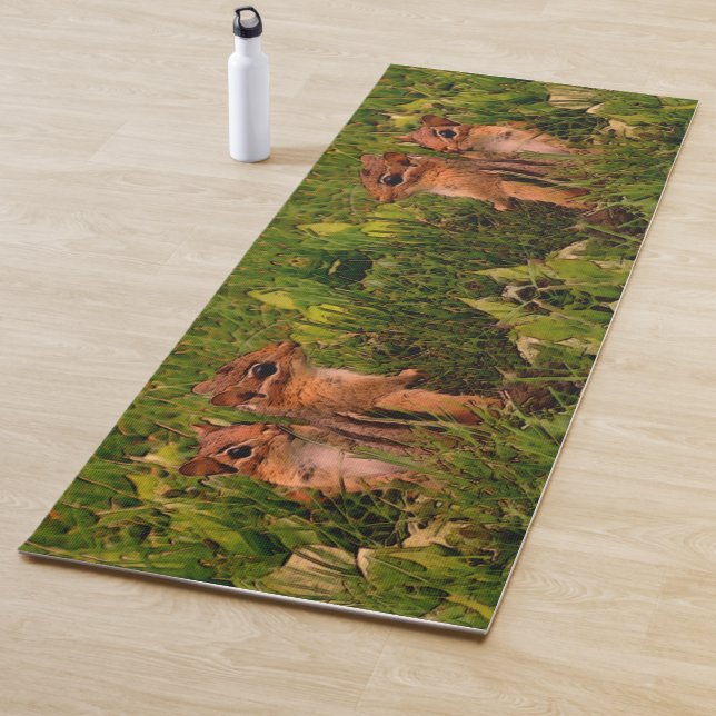 Baby Chipmunks Abstract Animal Art Yoga Mat (In Situ)