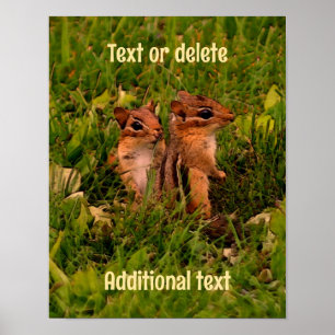 Baby Chipmunks Animal Art Create Your Own Poster