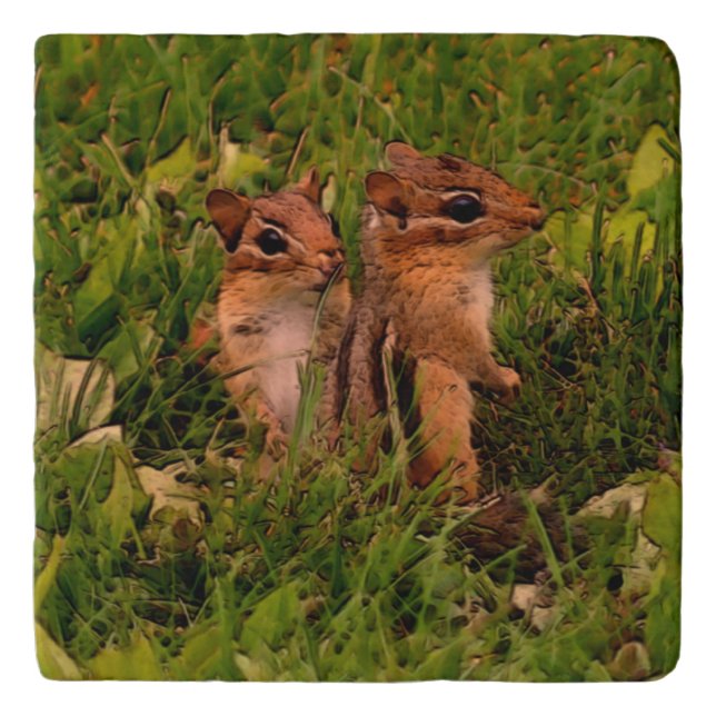 Baby Chipmunks Animal Art  Trivet (Front)