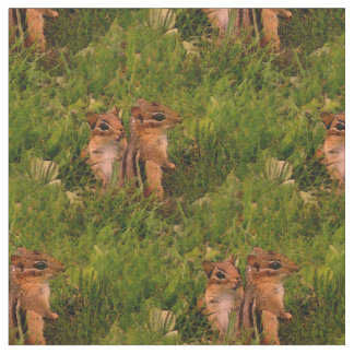Baby Chipmunks Animal Nature Art  Fabric