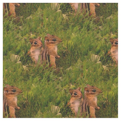 Baby Chipmunks Animal Nature Art  Fabric