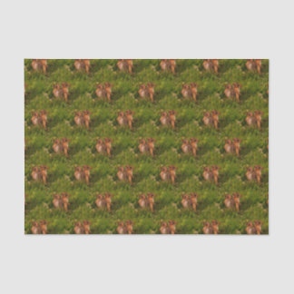 Baby Chipmunks Animal Nature Art  Tissue Paper