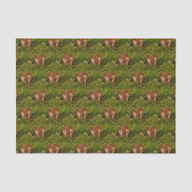 Baby Chipmunks Animal Nature Art  Tissue Paper (Front)