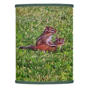 Baby Chipmunks Collage 2 Animal Pencil Art  Lamp Shade