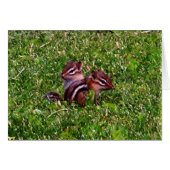 Baby Chipmunks First Day Animal Card (Front Horizontal)