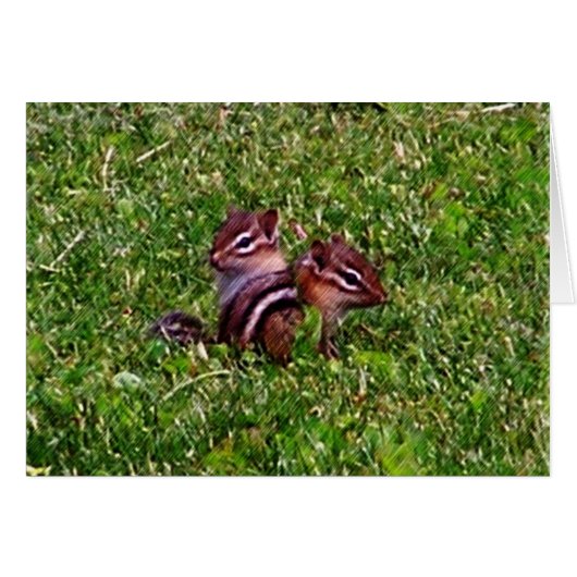 Baby Chipmunks First Day Animal Card (Front Horizontal)