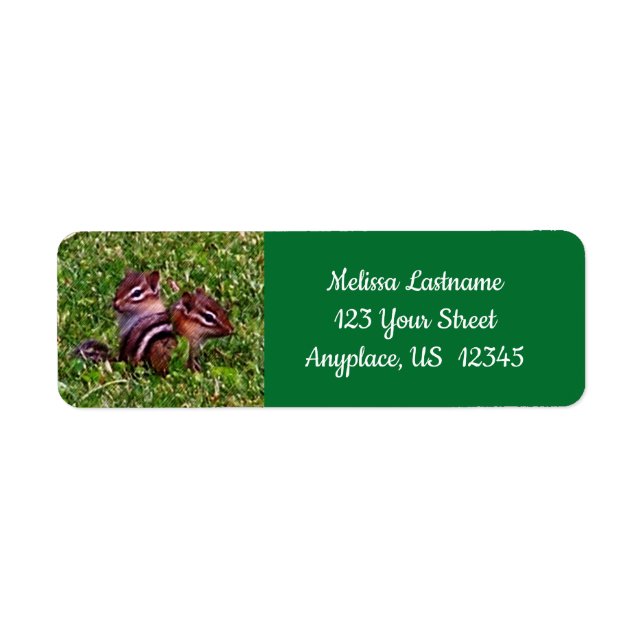 Baby Chipmunks First Day Out Animal Address Label (Front)