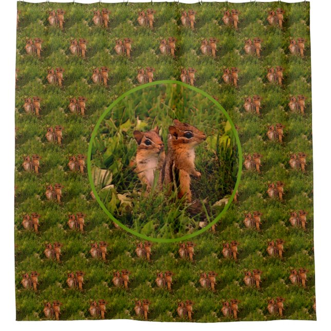 Baby Chipmunks Nature Art Pattern  Shower Curtain (Front)