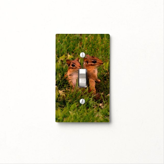 Baby Chipmunks Wildlife Animal Art  Light Switch Cover (In Situ)