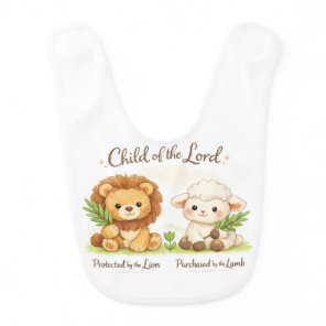 Baby clothes bib